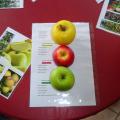 pommes