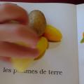 reconnaissance des légumes