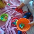 transvasement playmaïs