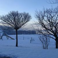 Jardin sous la neige