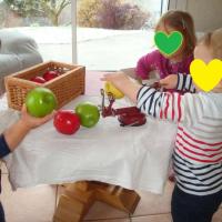 activité autour de la pomme 11/2020